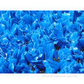 /msite/products/detail/productid/14416373/id/169422.html